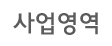 사업영역